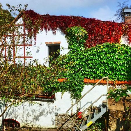 Zeitraum Fewo Apartment Bad Wildungen Bagian luar foto