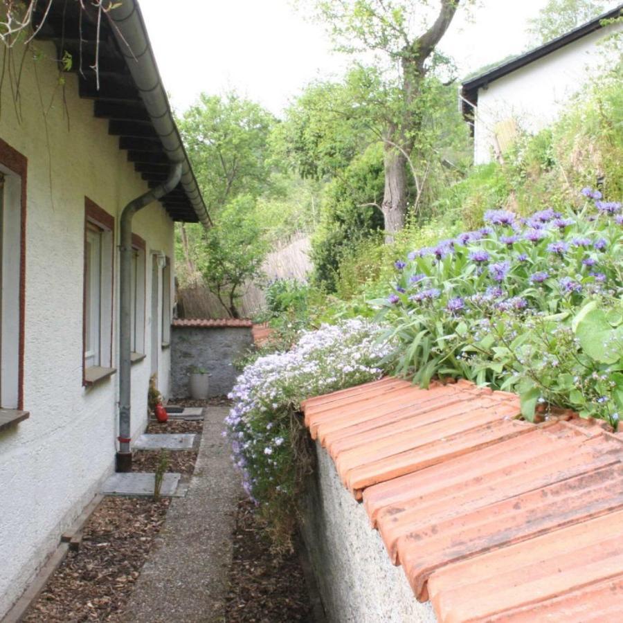 Zeitraum Fewo Apartment Bad Wildungen Bagian luar foto
