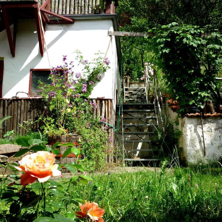 Zeitraum Fewo Apartment Bad Wildungen Bagian luar foto